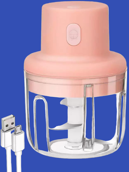 KolorFish Electric Mini Garlic Chopper 250ml Electric Vegetable Chopper